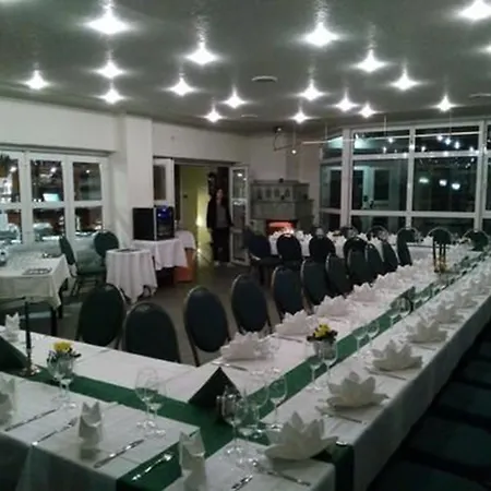 酒店 Hotel Rodewisch 3*