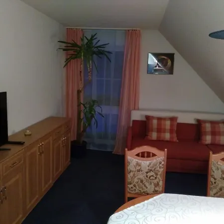 Hotel Rodewisch Ξενοδοχείο 3*