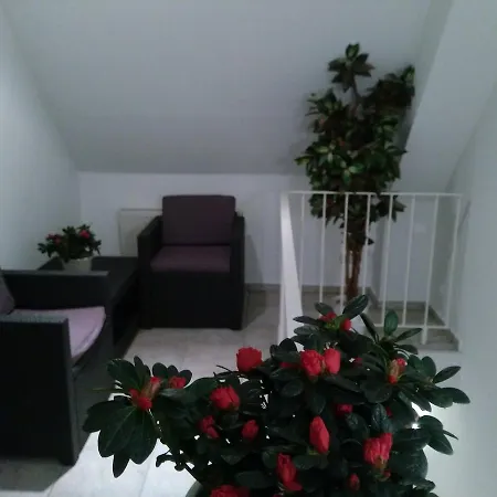 酒店 Hotel Rodewisch