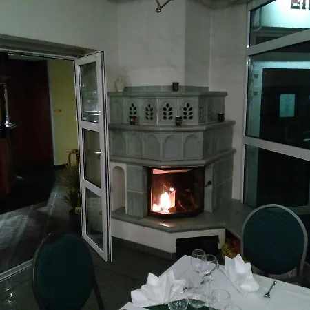 Hotel Rodewisch 酒店 3*