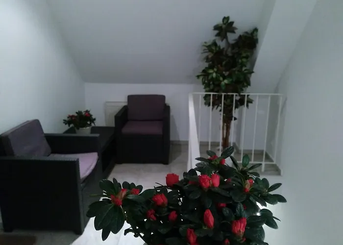 Hotel Hotel Rodewisch